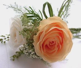 �v���U�[�u�h�t�����[�̃u�[�g�j�A