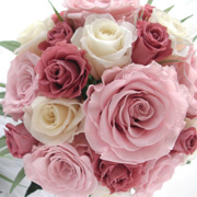 �E�G�f�B���O�u�[�P