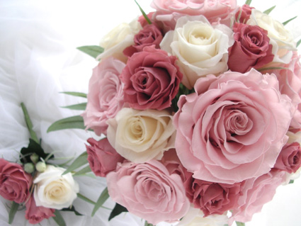 �v���U�[�u�h�t�����[�̃E�G�f�B���O�u�[�P