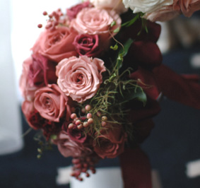 �v���U�[�u�h�t�����[�̃u�[�P