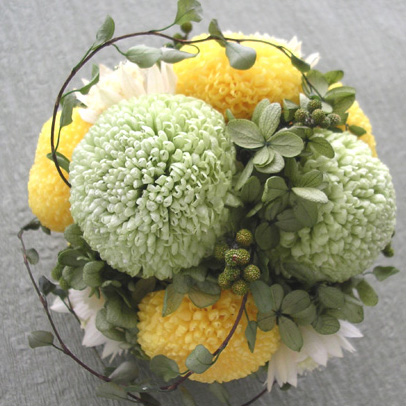 �v���U�[�u�h�t�����[�u�[�P