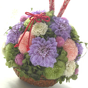 �v���U�[�u�h�t�����[�u�[�P