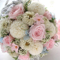 �a���u�[�P���{�[���o�b�N�^