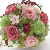 �a���u�[�P
�v���U�[�u�h�t�����[�u�[�P