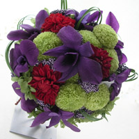 �a���u�[�P�����E���h�X�^�C��