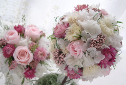 �v���U�[�u�h�E�G���J���t�����[���g�s�A���[