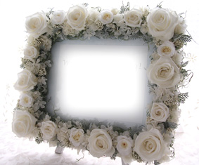 �v���U�[�u�h�E�F���J���{�[�h1