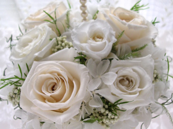 �����O�s���[�p�[���n�[�g