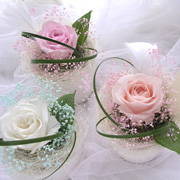 ���Ԃ̐ȎD����