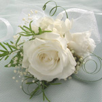 �v���U�[�u�h�����X�g���b�g