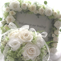 �E�F���J���{�[�h