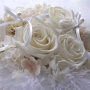 �����O�s���[ �v���U�[�u�h�t�����[