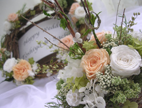 �v���U�[�u�h�E�G���J�����[�X