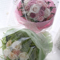 �v���U�[�u�h�t�����[�����e�֑���̉ԑ�