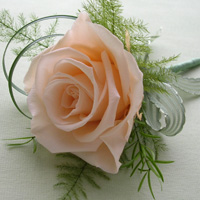 �����l�p�u�[�g�j�A