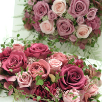 ���e�����