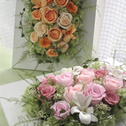 �v���U�[�u�h�t�����[�̗��e����p�̃t���[���A�����W