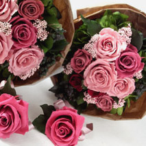 �v���U�[�u�h�t�����[��������I���ԑ�����